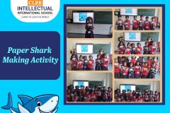 CLRR Shark making activity vertical