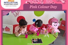 Pink Colour Day