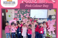 Pink Color Day