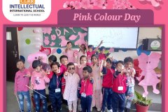 Pink Color Day