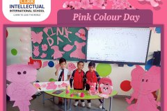 Pink Color Day