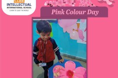 Pink Color Day