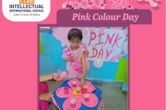 Pink Color Day